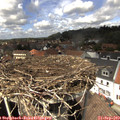 14_00-nest.jpg