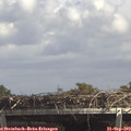 14_05-mast.jpg