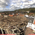 14_05-nest.jpg