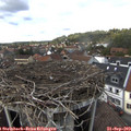 14_10-nest.jpg