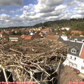 14_15-nest.jpg