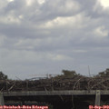 14_20-mast.jpg