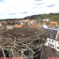 14_20-nest.jpg
