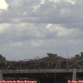 14_25-mast.jpg