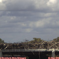 14_35-mast.jpg