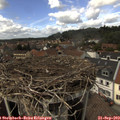 14_35-nest.jpg