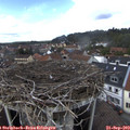14_40-nest.jpg