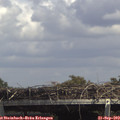 14_45-mast.jpg