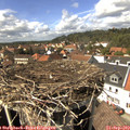 14_45-nest.jpg