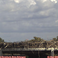 14_50-mast.jpg