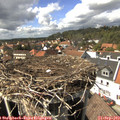 14_55-nest.jpg