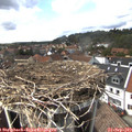 15_00-nest.jpg
