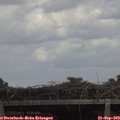 15_05-mast.jpg