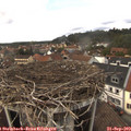 15_05-nest.jpg