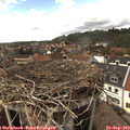 15_10-nest.jpg