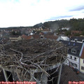 15_20-nest.jpg