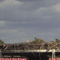 15_25-mast.jpg