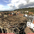 15_25-nest.jpg