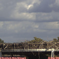 15_35-mast.jpg