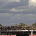15_40-mast.jpg