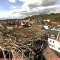15_40-nest.jpg