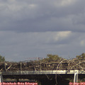 15_45-mast.jpg