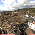 15_45-nest.jpg