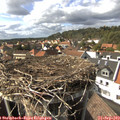 15_55-nest.jpg