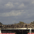 16_05-mast.jpg