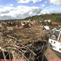 16_05-nest.jpg