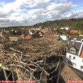 16_10-nest.jpg
