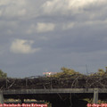 16_15-mast.jpg
