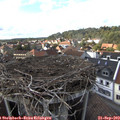 16_15-nest.jpg