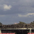 16_20-mast.jpg