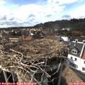 16_20-nest.jpg