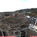 16_25-nest.jpg