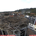 16_30-nest.jpg