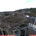 16_35-nest.jpg