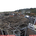 16_40-nest.jpg