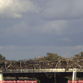 16_45-mast.jpg