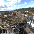 16_45-nest.jpg