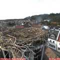 16_55-nest.jpg