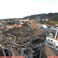 17_00-nest.jpg