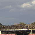 17_05-mast.jpg