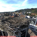 17_15-nest.jpg