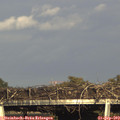 17_35-mast.jpg