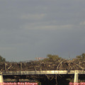 17_40-mast.jpg