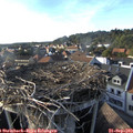 17_45-nest.jpg