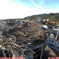 17_55-nest.jpg