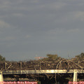 18_00-mast.jpg
